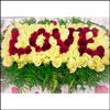 4 Some one Special - Click here to View more details about this Product